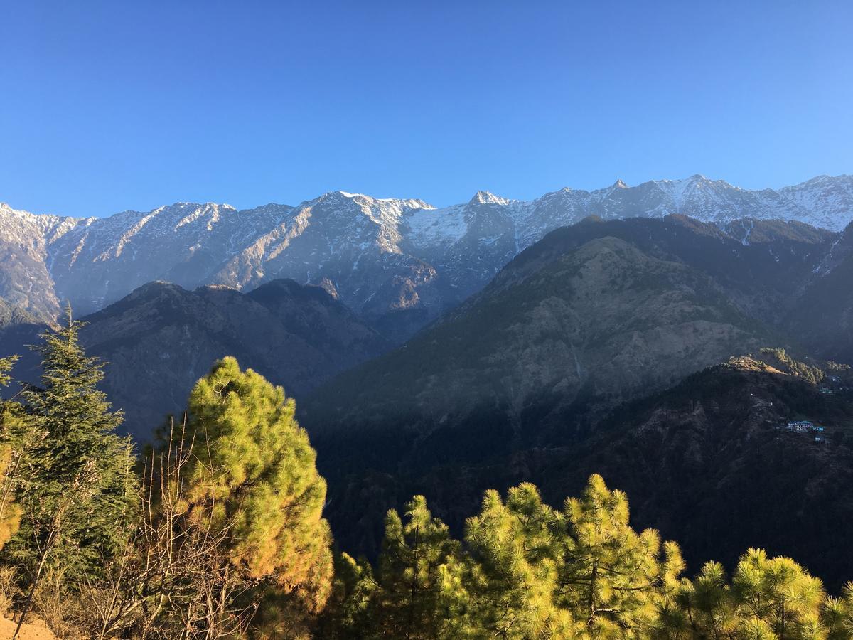 Ess & Bee Resorts Dharamshala Luaran gambar