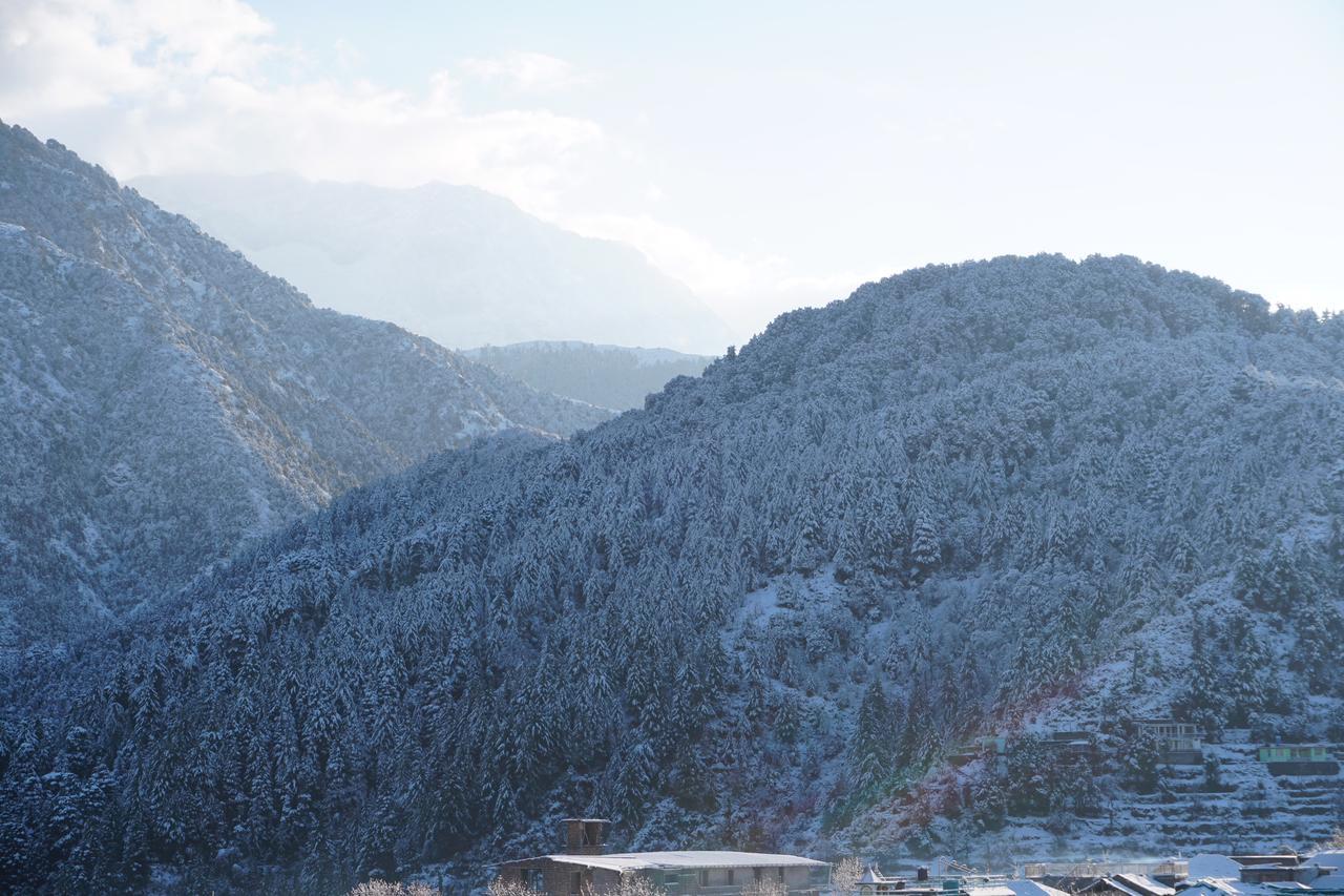 Ess & Bee Resorts Dharamshala Luaran gambar